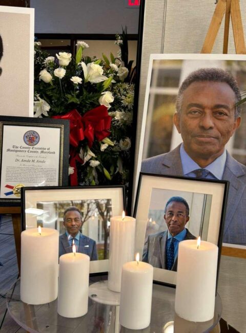 dr amde m amde bio eccm